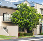 Quest Maitland Serviced Apartments - Accommodation Port Macquarie