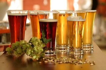 Potters Hotel Brewery Resort - Accommodation Port Macquarie 12