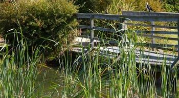 Potters Hotel Brewery Resort - Accommodation Port Macquarie 42