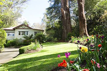 Adeline Bed And Breakfast - Accommodation Port Macquarie 5