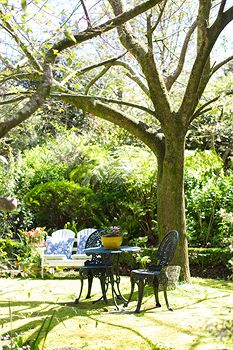 Adeline Bed And Breakfast - Accommodation Port Macquarie 7