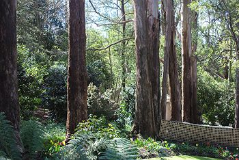 Adeline Bed And Breakfast - Accommodation Port Macquarie 8
