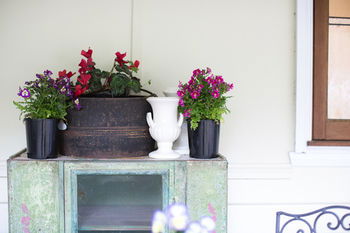 Adeline Bed And Breakfast - Accommodation Port Macquarie 22