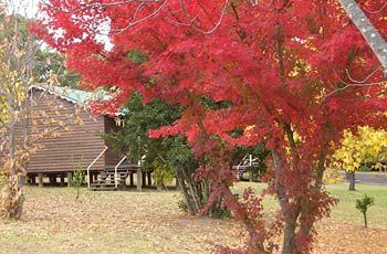 Madison's Mountain Retreat - Accommodation Port Macquarie 1