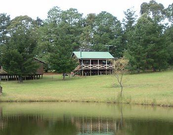 Madison's Mountain Retreat - Accommodation Port Macquarie 2