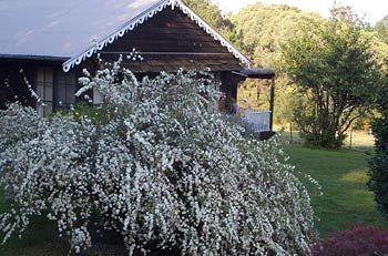 Madison's Mountain Retreat - Accommodation Port Macquarie 3