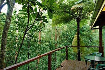 Kondalilla Eco Resort - Accommodation Port Macquarie 2