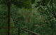 Kondalilla Eco Resort - thumb 7
