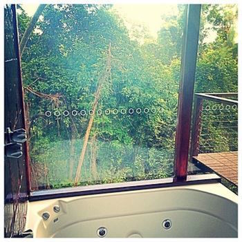 Kondalilla Eco Resort - Accommodation Port Macquarie 10
