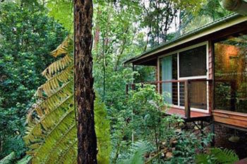Kondalilla Eco Resort - Accommodation Port Macquarie 23
