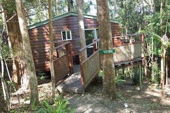 Kondalilla Eco Resort - Accommodation Port Macquarie 27