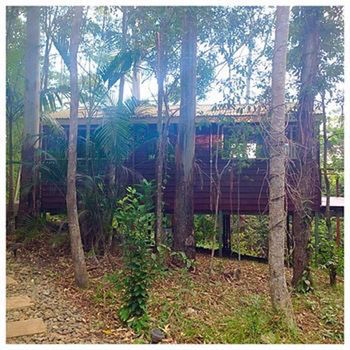 Kondalilla Eco Resort - Accommodation Port Macquarie 32