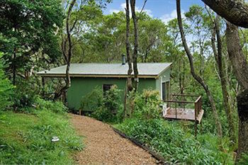 Kondalilla Eco Resort - Accommodation Port Macquarie 34