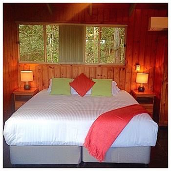 Kondalilla Eco Resort - Accommodation Port Macquarie 42