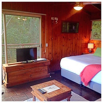 Kondalilla Eco Resort - Accommodation Port Macquarie 50