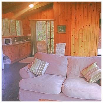 Kondalilla Eco Resort - Accommodation Port Macquarie 81