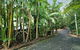 Kondalilla Eco Resort - thumb 94
