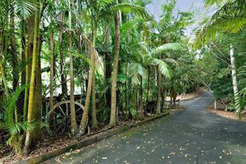 Kondalilla Eco Resort - Accommodation Port Macquarie 94