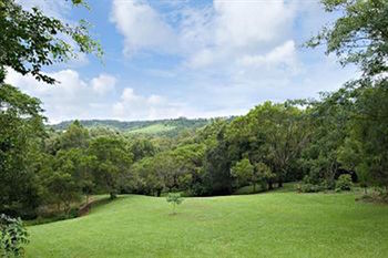 Kondalilla Eco Resort - Accommodation Port Macquarie 97