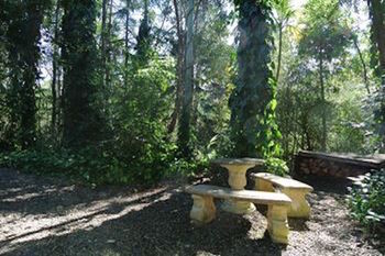 Kondalilla Eco Resort - Accommodation Port Macquarie 98