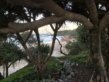 Surf Dance - Accommodation Port Macquarie 9