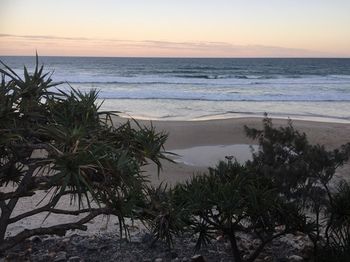 Surf Dance - Accommodation Port Macquarie 12