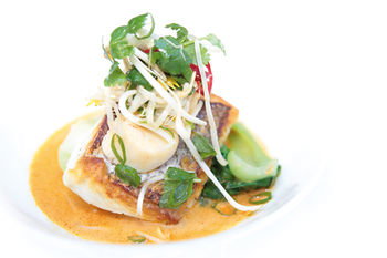 Noosa Springs Golf Resort & Spa - Accommodation Port Macquarie 2