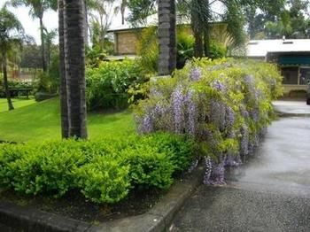 The Falls - Accommodation Port Macquarie 12