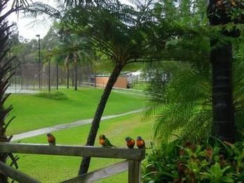 The Falls - Accommodation Port Macquarie 17