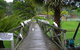 The Falls - thumb 7