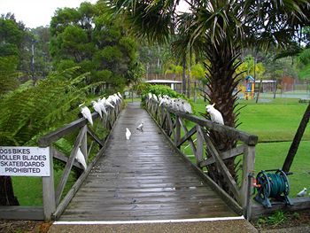The Falls - Accommodation Port Macquarie 7