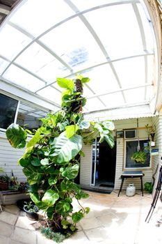 Manly Oceanside - Accommodation Port Macquarie 0