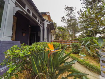 Manly Oceanside - Accommodation Port Macquarie 81