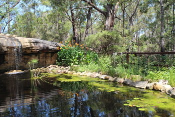 Storey Grange - Accommodation Port Macquarie 12