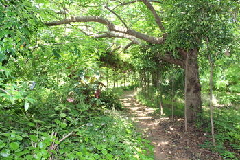 Storey Grange - Accommodation Port Macquarie 13