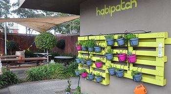 Habitat HQ - Hostel - Accommodation Port Macquarie 24