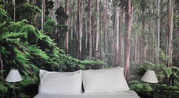 Habitat HQ - Hostel - Accommodation Port Macquarie 31