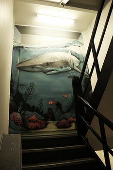 Sydney Backpackers - Hostel - Accommodation Port Macquarie 30