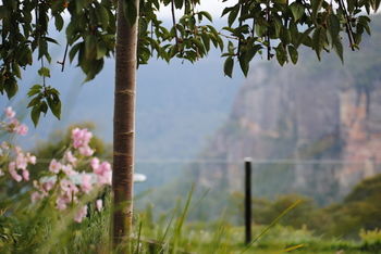 Echoes Boutique Hotel And Restaurant - Accommodation Port Macquarie 13