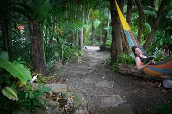 Noosa Valley Manor B&B Retreat - Accommodation Port Macquarie 4