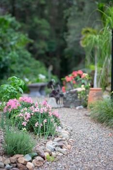 Noosa Valley Manor B&B Retreat - Accommodation Port Macquarie 12