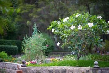 Noosa Valley Manor B&B Retreat - Accommodation Port Macquarie 13