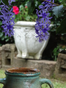 Noosa Valley Manor B&B Retreat - Accommodation Port Macquarie 31