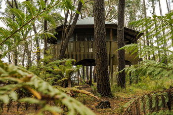 Federation Gardens & Possums Hideaway - Accommodation Port Macquarie 3