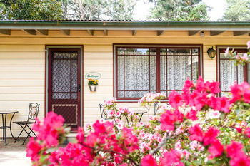 Federation Gardens & Possums Hideaway - Accommodation Port Macquarie 19