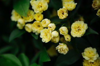 Federation Gardens & Possums Hideaway - Accommodation Port Macquarie 23