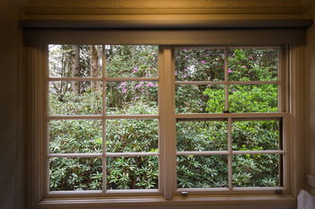 Federation Gardens & Possums Hideaway - Accommodation Port Macquarie 39