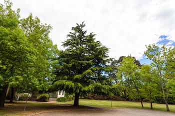 Federation Gardens & Possums Hideaway - Accommodation Port Macquarie 41