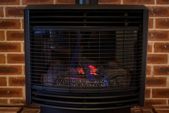 Federation Gardens & Possums Hideaway - Accommodation Port Macquarie 52