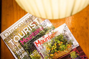 Federation Gardens & Possums Hideaway - Accommodation Port Macquarie 56